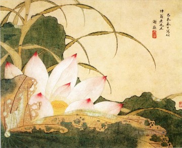 Chino Painting - Loto Xiesun tradicional China